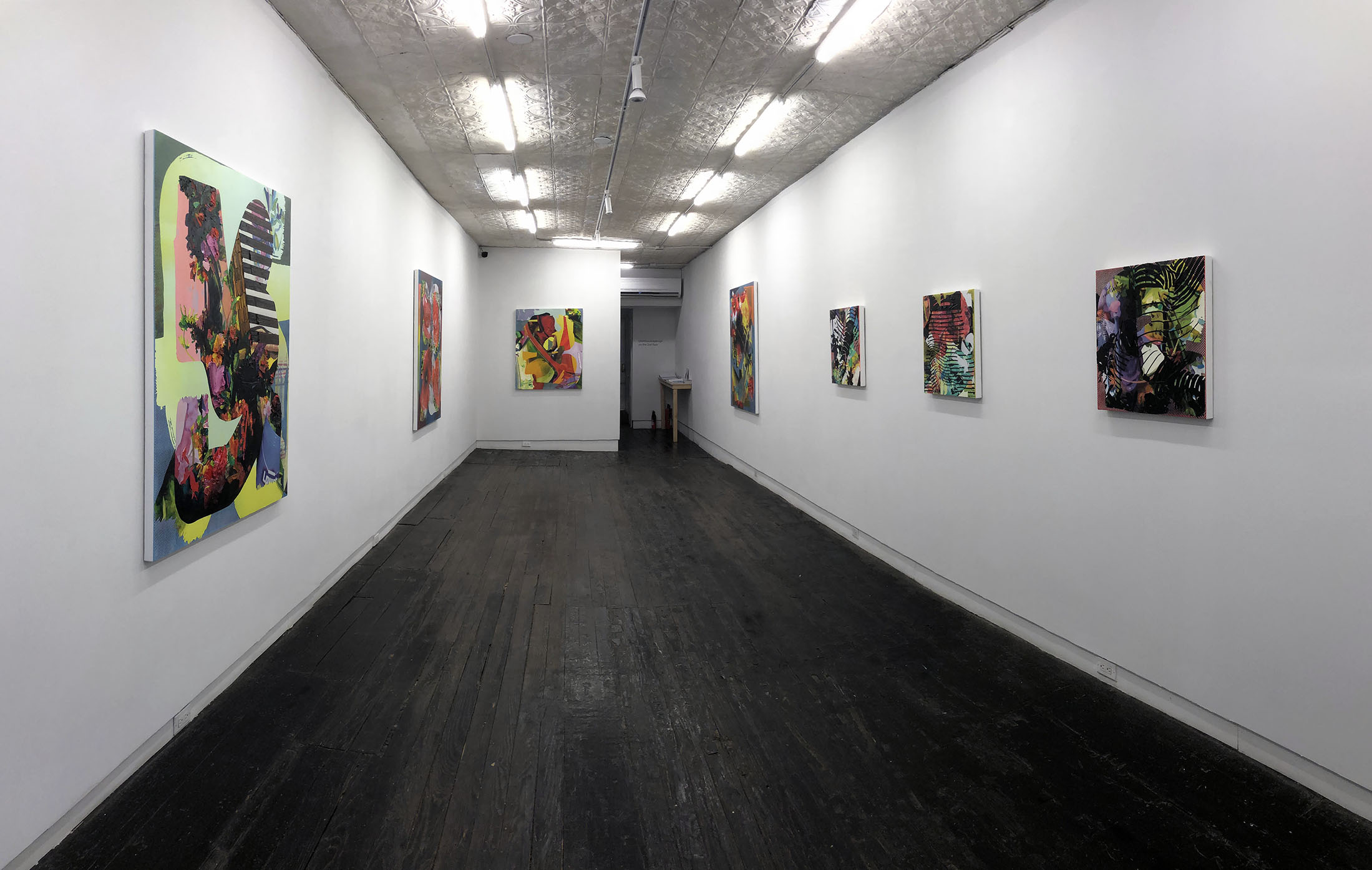 Jimmy Baker, American artist, painting, digital printing : Install shot from Burning Out at LMAK Gallery New York